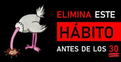 Descubre por qué los avestruces esconden la cabeza en la arena | Guía completa